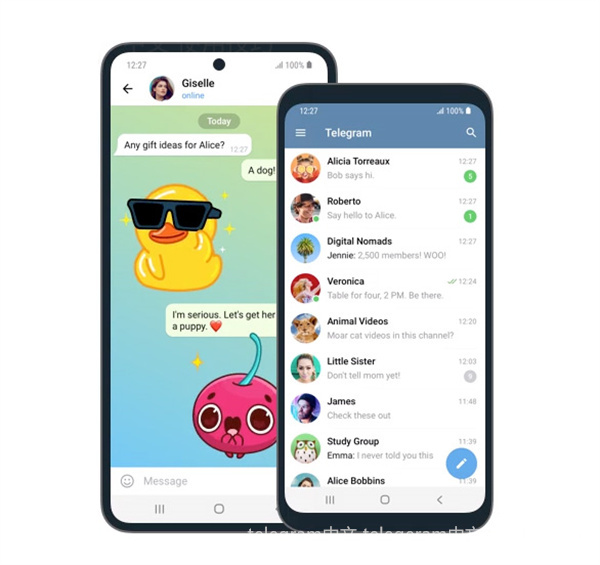 Telegram是一款流行的即时通讯应用软件，以其出色的安全性和多样的功能而受到全球用户的青睐。它在某些国家尤其备受欢迎，成为社交和信息共享的重要平台。