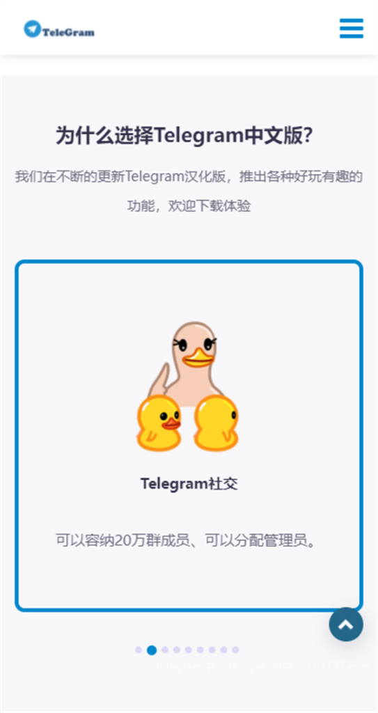 Telegram账号的含义及具体解析，包括使用场景、注册方法、账号找回步骤，以及隐私设置的注意事项和技巧。