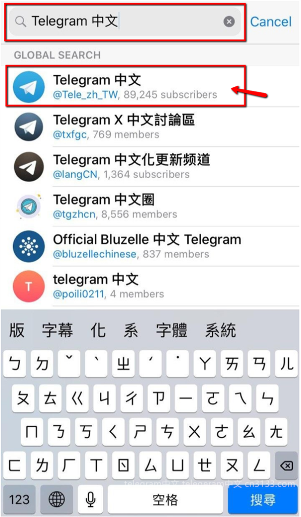 如果无法登录Telegram账号，请检查以下几点：确认您输入的账号信息和密码是否正确，确保网络连接正常，并查看是否存在任何可能影响登录的账号限制或隐私设置。