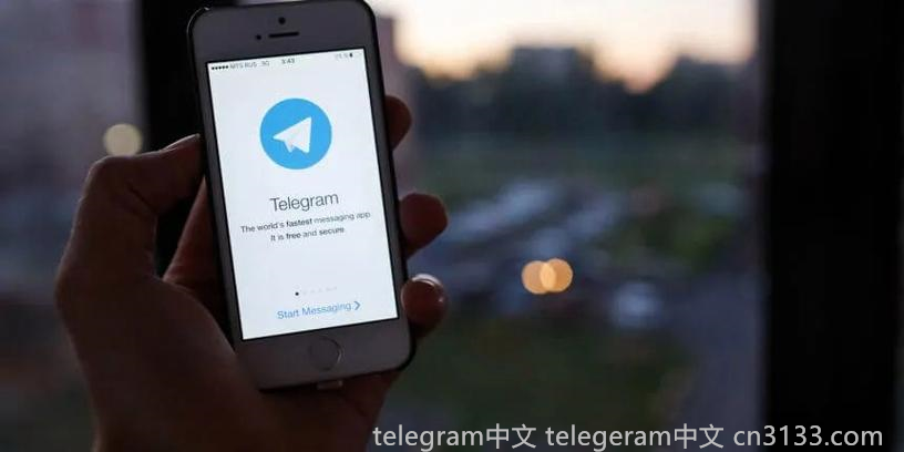 Telegram的昵称是什么？探讨Telegram中的昵称功能对用户社交互动和隐私保护的影响。