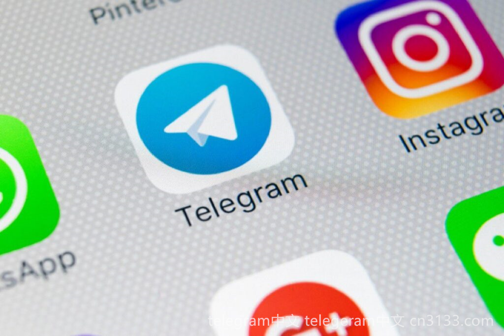 使用Telegram的一般用户是什么类型的人？探讨Telegram用户的特征、社交行为多样性以及他们对隐私的关注。